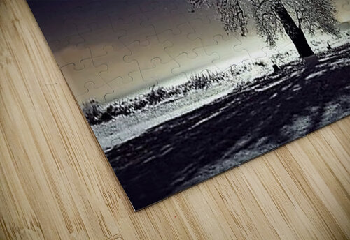 2151 mohamed elabari puzzle