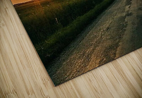 2198 mohamed elabari puzzle