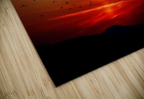 2225 mohamed elabari puzzle