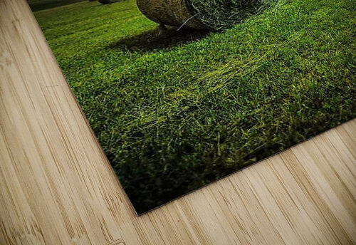 2250 mohamed elabari puzzle