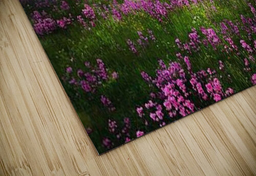2255 mohamed elabari puzzle