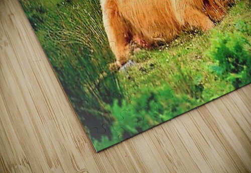 2257 mohamed elabari puzzle