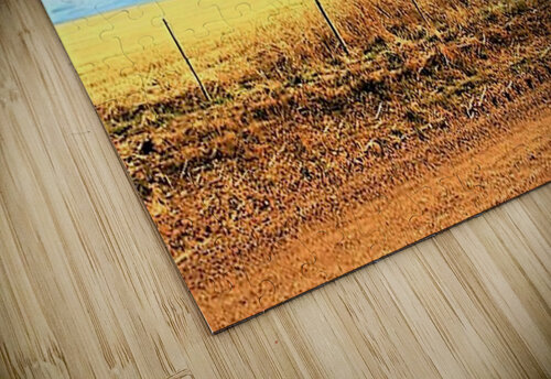 2258 mohamed elabari puzzle