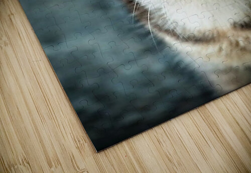 2272 mohamed elabari puzzle