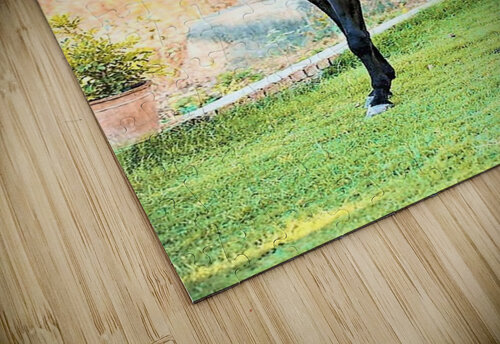 2281 mohamed elabari puzzle