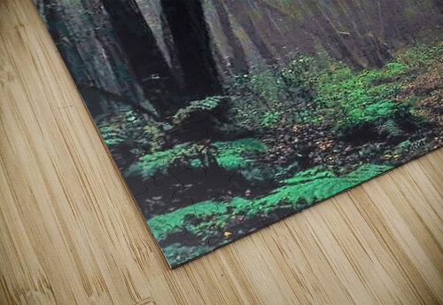2283 mohamed elabari puzzle
