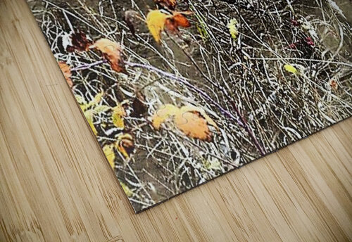 2291 mohamed elabari puzzle