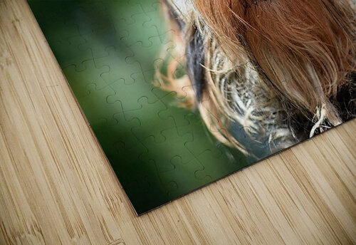 2300 mohamed elabari puzzle