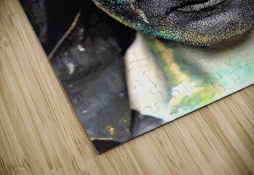 2307 mohamed elabari puzzle