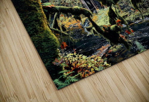 2312 mohamed elabari puzzle