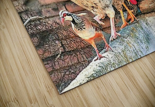2324 mohamed elabari puzzle