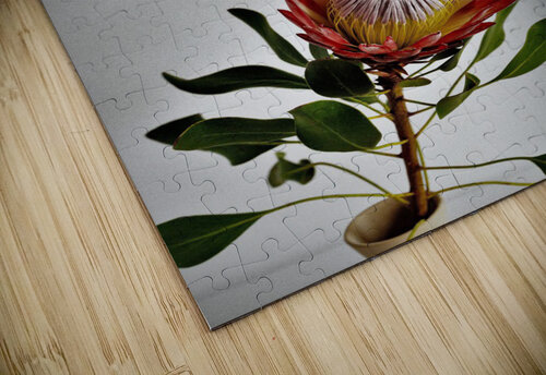 2331 mohamed elabari puzzle