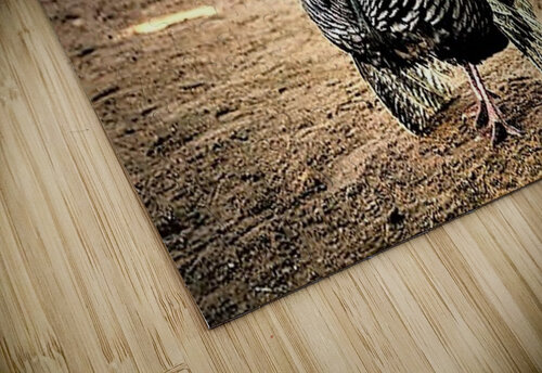 2336 mohamed elabari puzzle