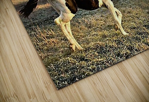 2363 mohamed elabari puzzle