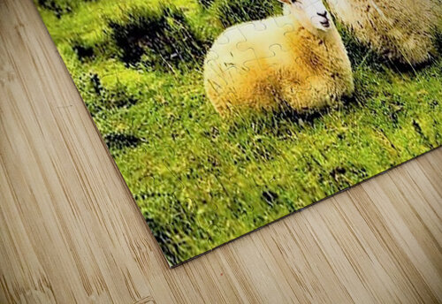 2366 mohamed elabari puzzle