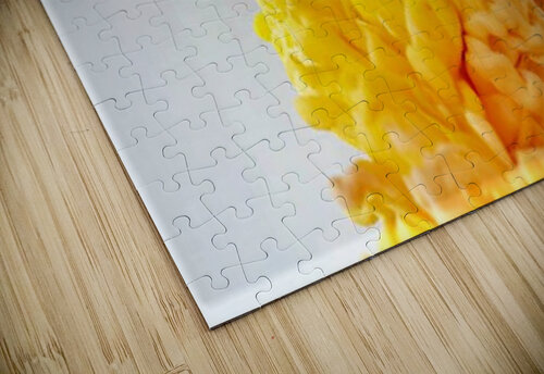 2372 mohamed elabari puzzle