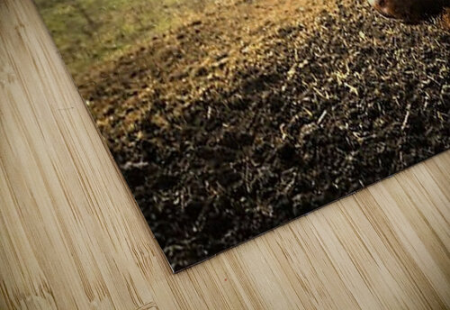 2378 mohamed elabari puzzle