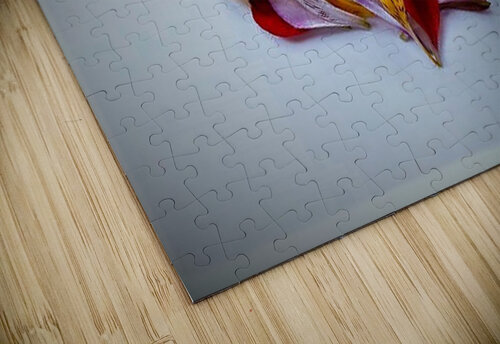 2385 mohamed elabari puzzle