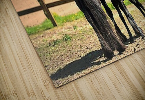 2391 mohamed elabari puzzle