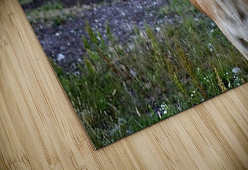 2404 mohamed elabari puzzle