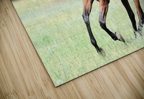 2411 mohamed elabari puzzle