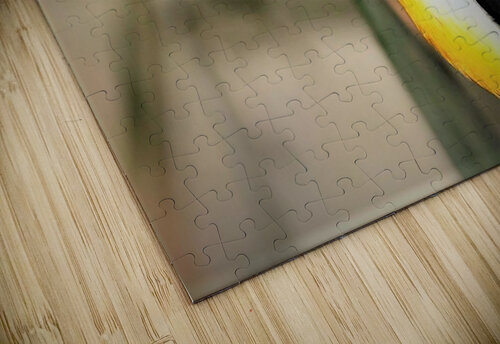 2418 mohamed elabari puzzle