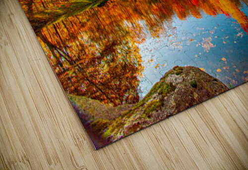 2423 mohamed elabari puzzle