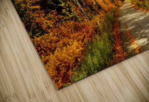 2430 mohamed elabari puzzle