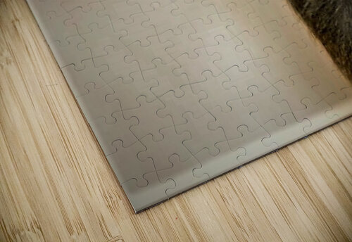2449 mohamed elabari puzzle