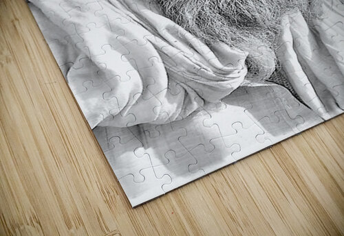 2451 mohamed elabari puzzle