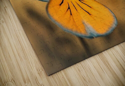 2466 mohamed elabari puzzle