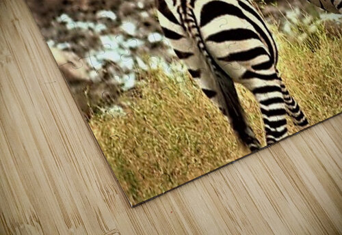 2469 mohamed elabari puzzle