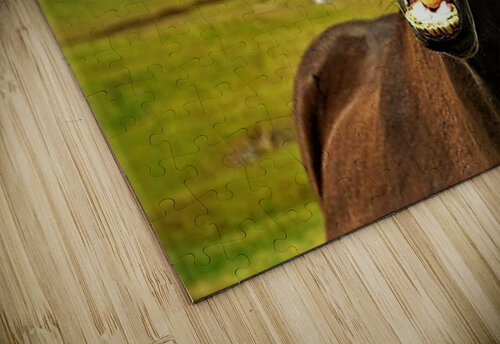 2502 mohamed elabari puzzle