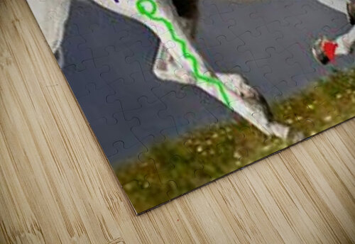 2560 mohamed elabari puzzle
