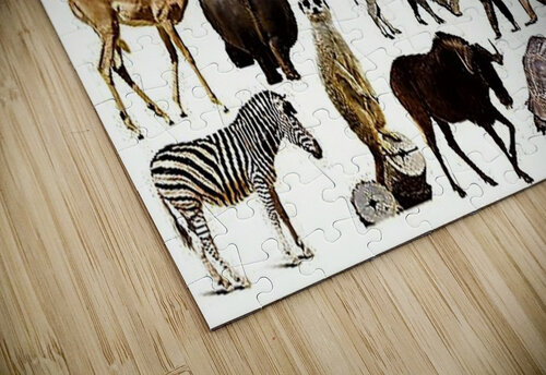 2568 mohamed elabari puzzle