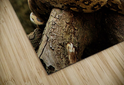 2587 mohamed elabari puzzle
