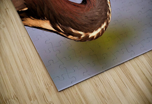 2603 mohamed elabari puzzle