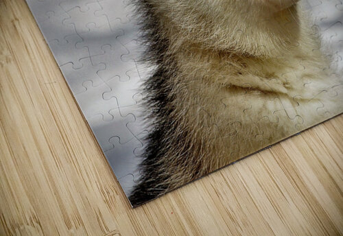 2605 mohamed elabari puzzle