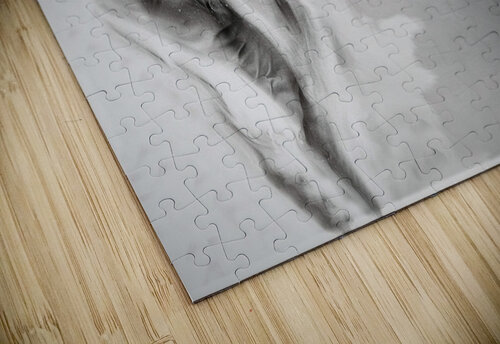 2614 mohamed elabari puzzle