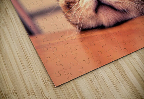2619 mohamed elabari puzzle