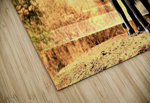 2623 mohamed elabari puzzle