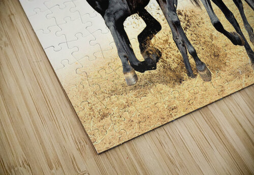 2625 mohamed elabari puzzle