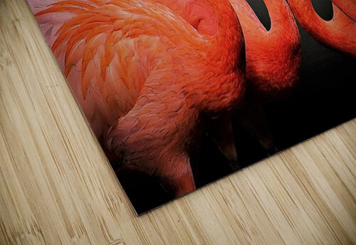2669 mohamed elabari puzzle
