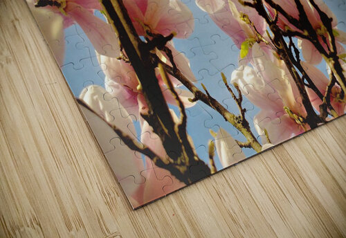 2675 mohamed elabari puzzle