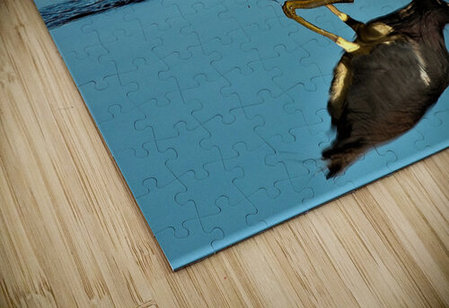 2682 mohamed elabari puzzle