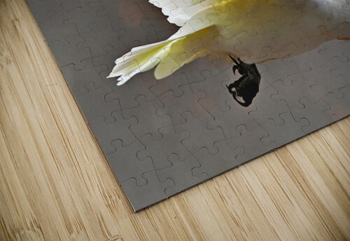 2684 mohamed elabari puzzle