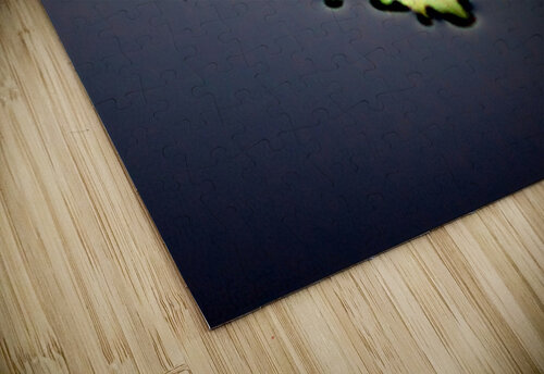 2794 mohamed elabari puzzle