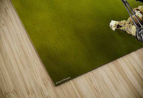 2801 mohamed elabari puzzle
