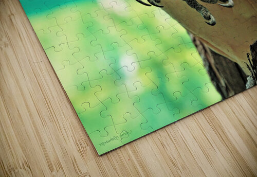 2813 mohamed elabari puzzle