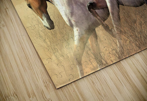 2824 mohamed elabari puzzle